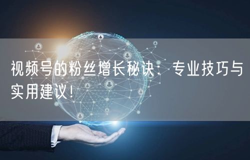视频号的粉丝增长秘诀：专业技巧与实用建议！