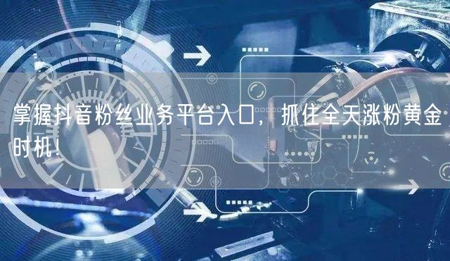 掌握抖音粉丝业务平台入口，抓住全天涨粉黄金时机！